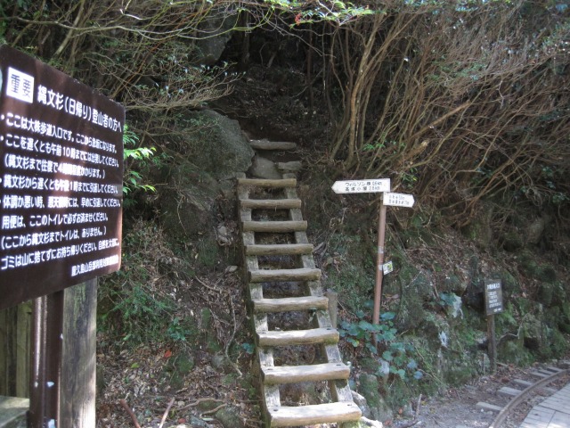 e0183804_2495017.jpg