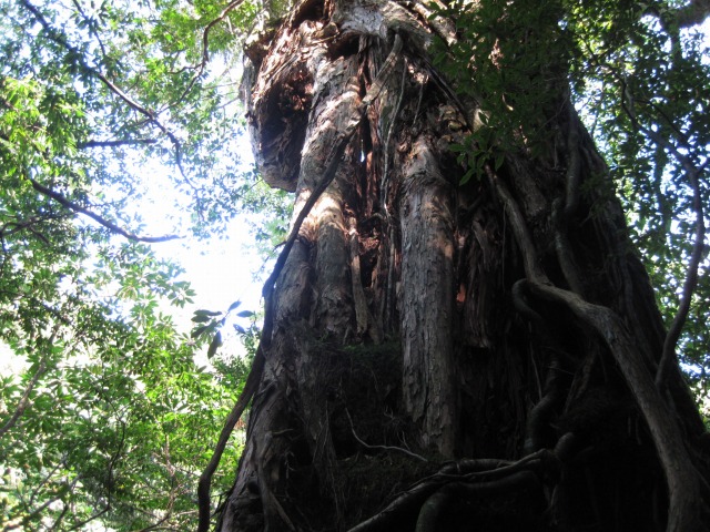e0183804_2505223.jpg