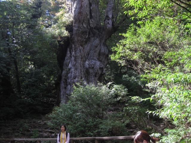 e0183804_2525331.jpg