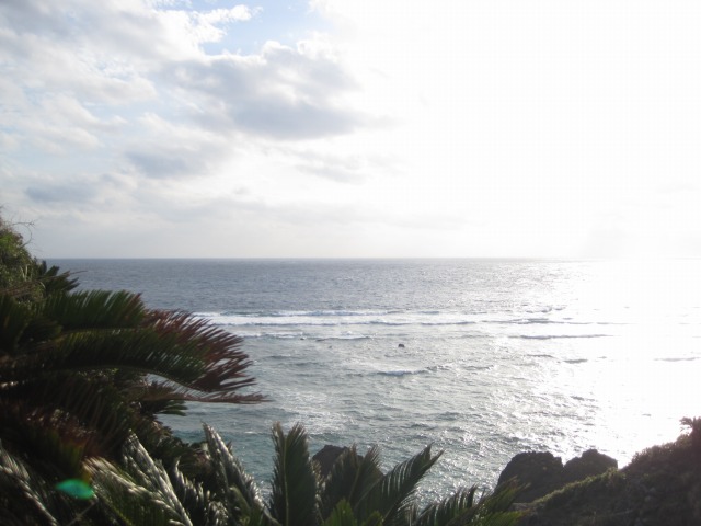 e0183804_3281882.jpg