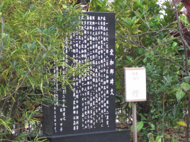 e0183804_3283216.jpg