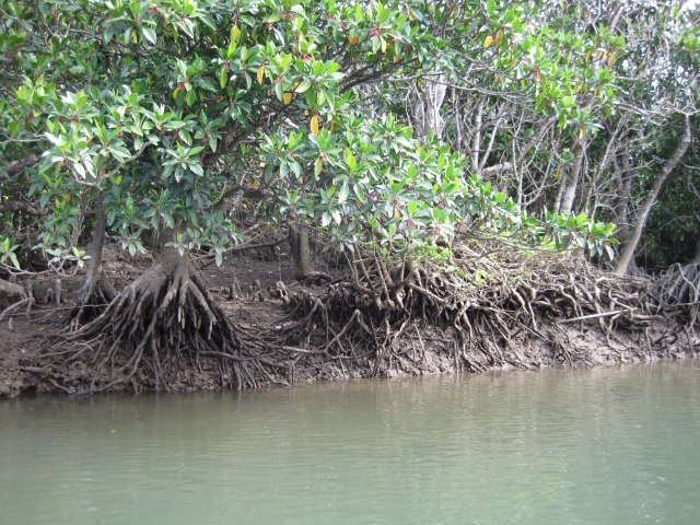 e0183804_3295617.jpg