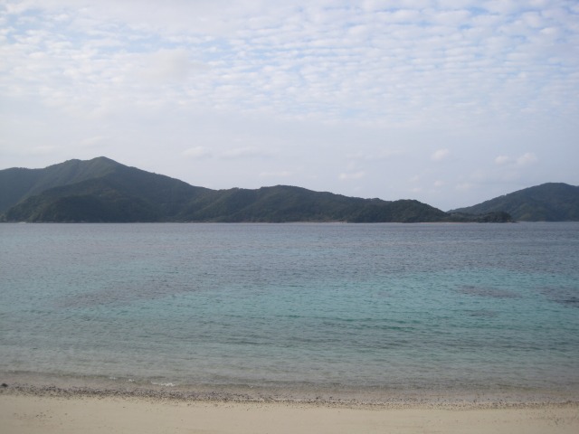 e0183804_3312286.jpg