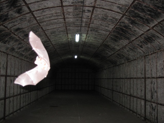 e0183804_345989.jpg