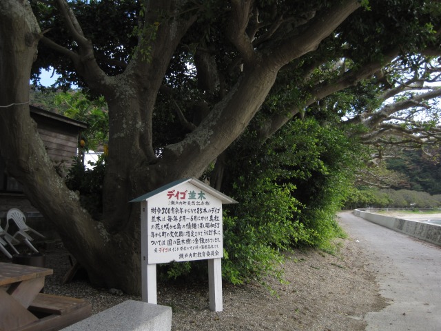 e0183804_3501978.jpg