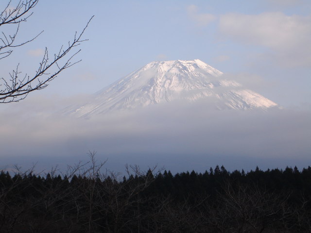 a0116205_21344052.jpg
