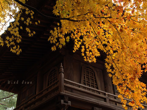 a0021110_17113151.jpg