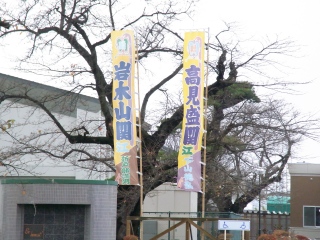 e0085113_21535655.jpg