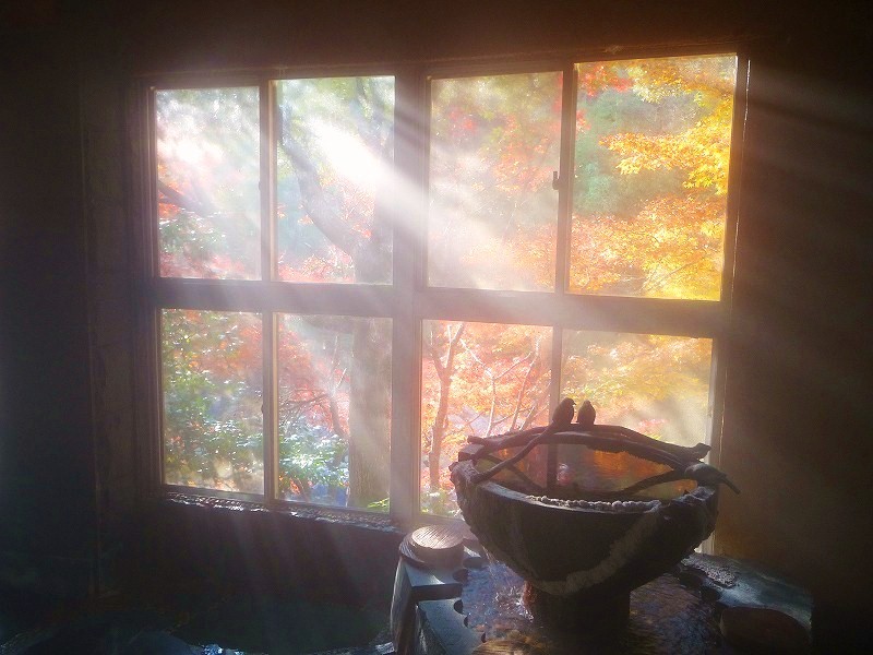 f0182513_23412176.jpg