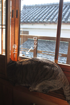 e0156015_0141259.jpg