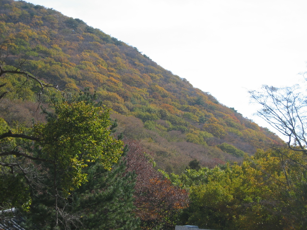 d0010720_2243616.jpg