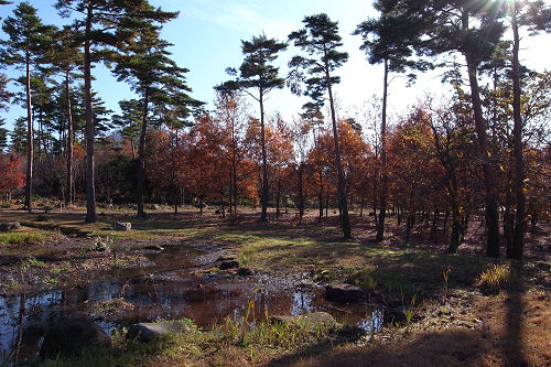f0007926_15184077.jpg