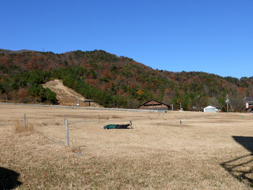 b0023728_18502664.jpg