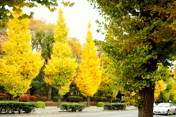 c0133533_0365628.jpg