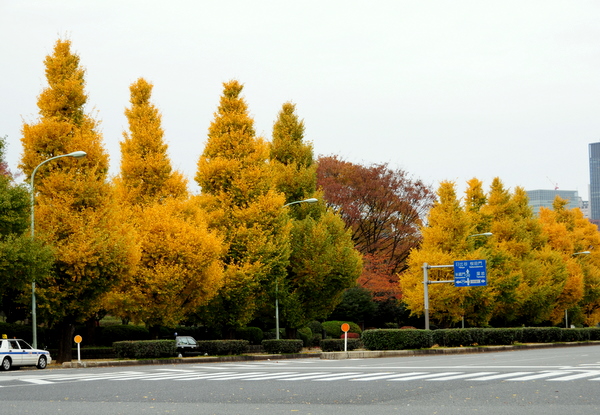 c0133533_0382835.jpg