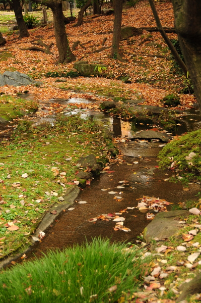 c0133533_0412244.jpg