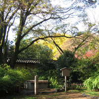 d0033734_0123973.jpg