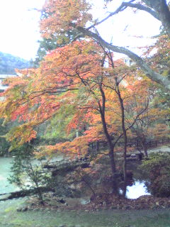 f0040734_18391778.jpg