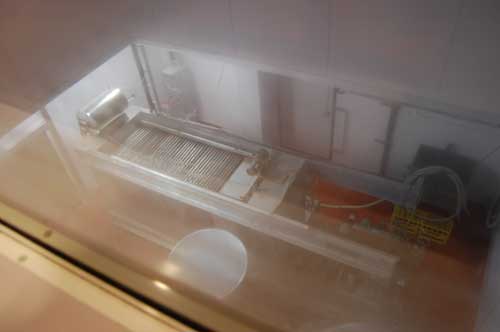 a0005436_2012827.jpg
