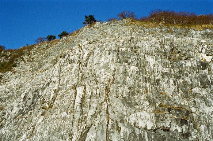 d0141239_1564833.jpg