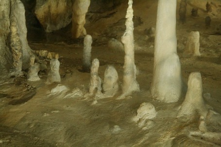 d0141239_2171425.jpg