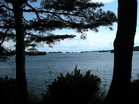 e0149040_84495.jpg