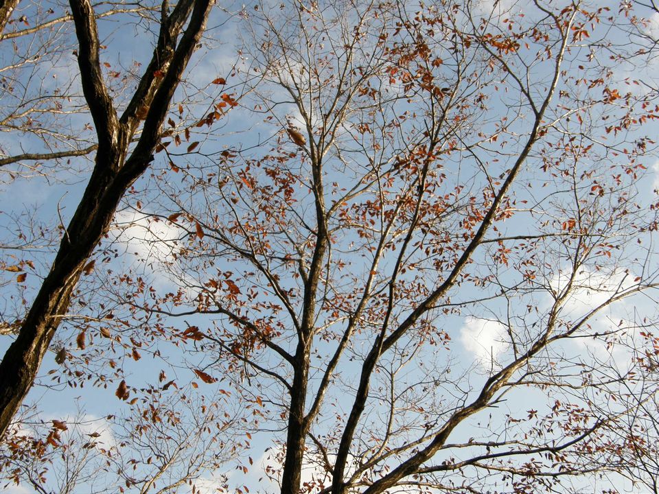 f0090444_226928.jpg
