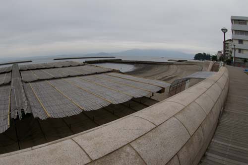 e0187146_1046561.jpg