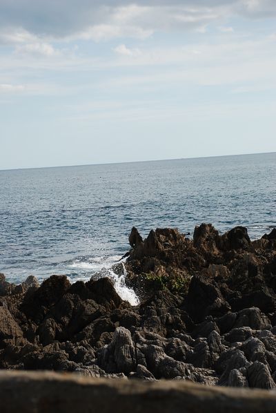 d0116249_1842588.jpg