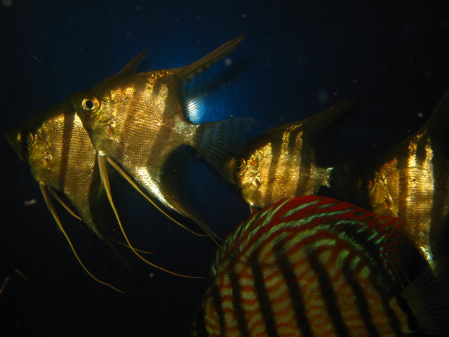 f0198950_22144231.jpg