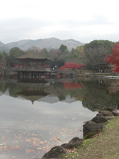 f0009451_14401618.jpg