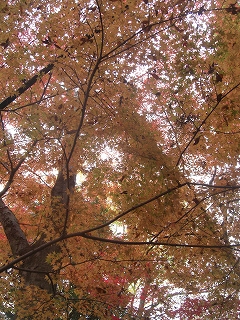 f0009451_14414566.jpg