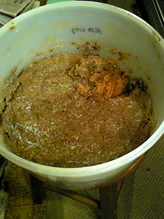 d0031853_1650138.jpg