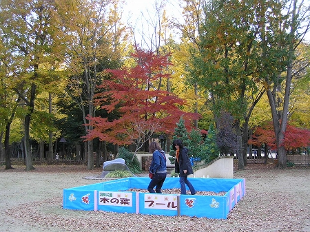 b0145863_0144149.jpg