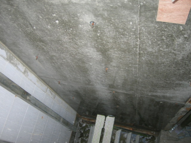 b0174965_2055350.jpg
