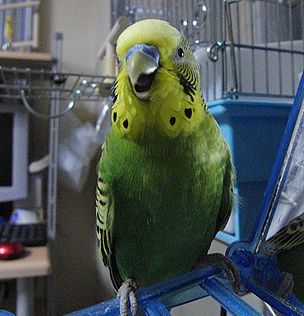 f0196665_0561998.jpg