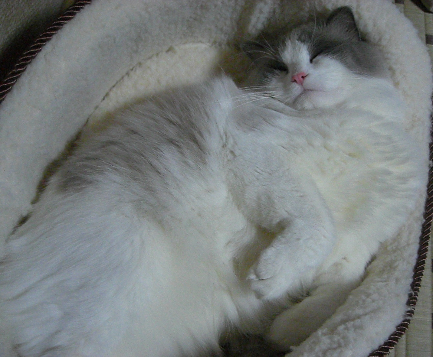 f0200666_2240591.jpg