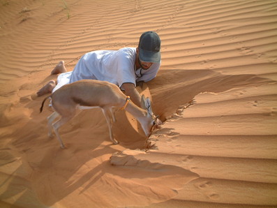 e0066474_20141737.jpg