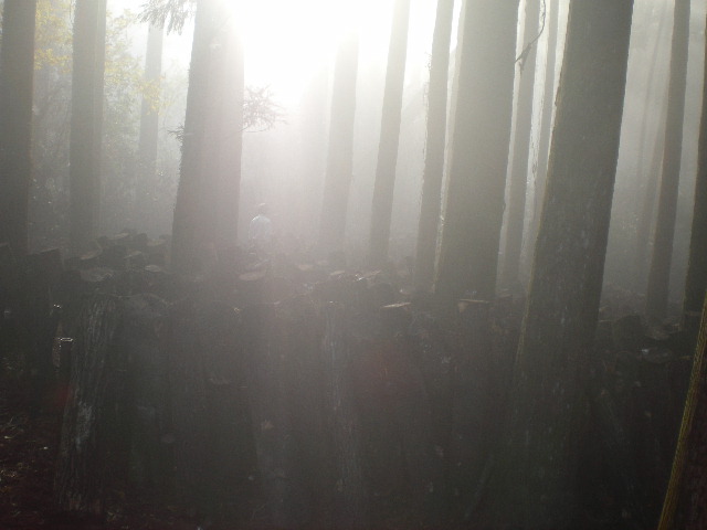 d0040076_21204316.jpg