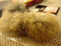d0098182_18245437.jpg