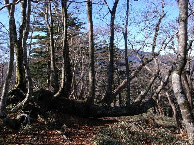 e0129083_1946345.jpg