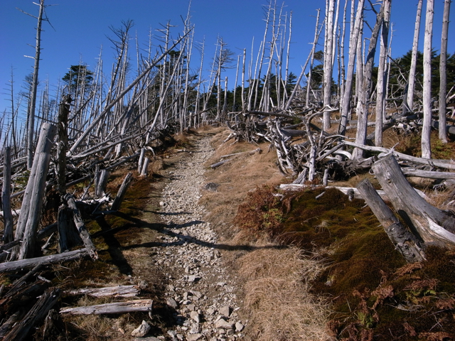 e0129083_20502378.jpg