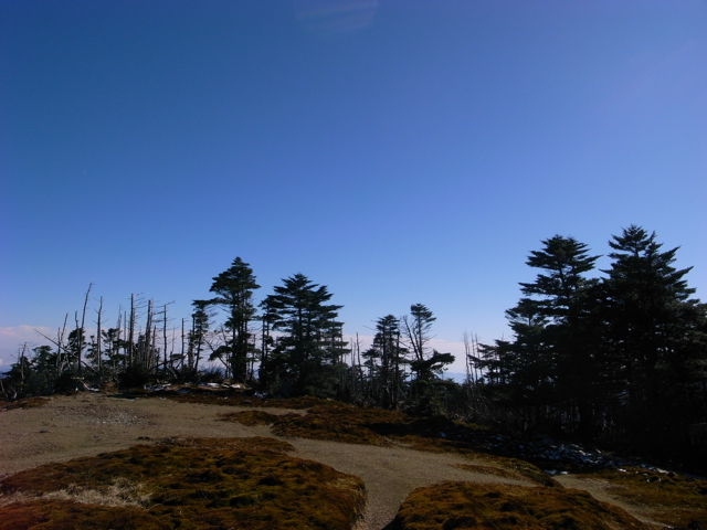 e0129083_20503715.jpg
