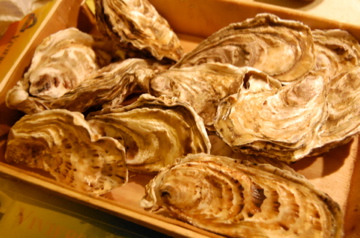 c0180686_750078.jpg