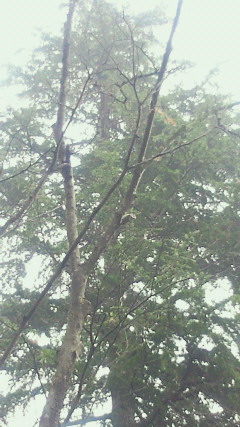 e0175288_14462887.jpg
