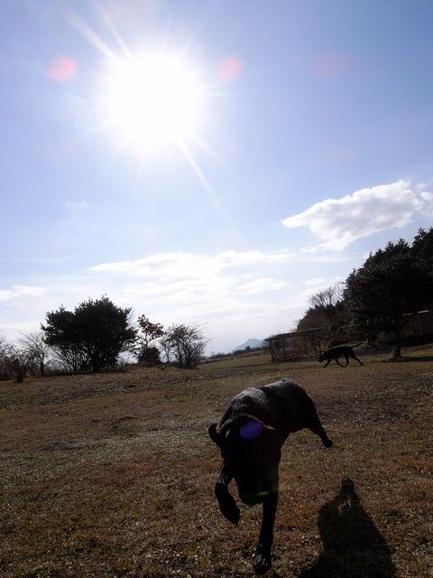 a0093592_21554158.jpg