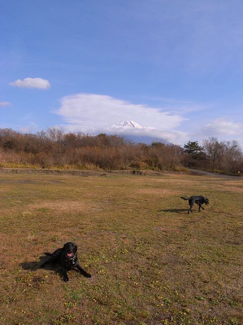 a0093592_22102430.jpg