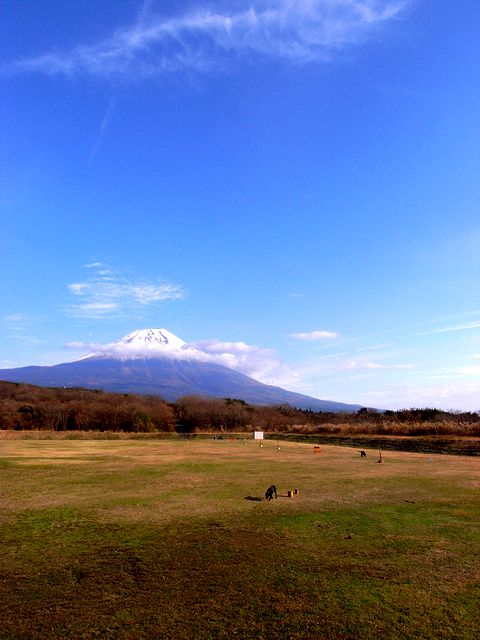 a0093592_22315563.jpg