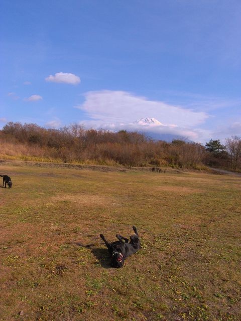 a0093592_2241740.jpg