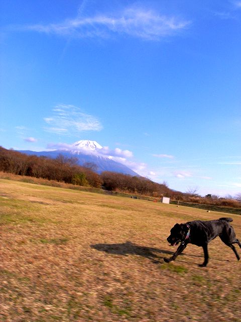 a0093592_2249673.jpg